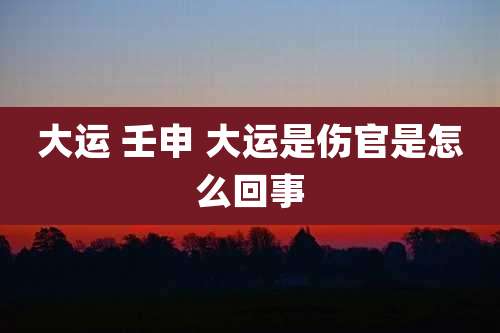大运 壬申 大运是伤官是怎么回事