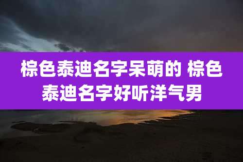 棕色泰迪名字呆萌的 棕色泰迪名字好听洋气男