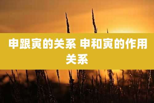 申跟寅的关系 申和寅的作用关系