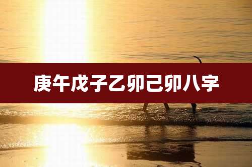 庚午戊子乙卯己卯八字