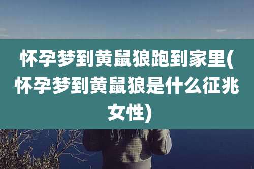 怀孕梦到黄鼠狼跑到家里(怀孕梦到黄鼠狼是什么征兆 女性)