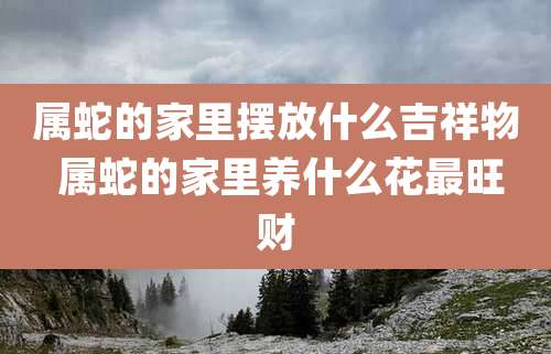属蛇的家里摆放什么吉祥物 属蛇的家里养什么花最旺财