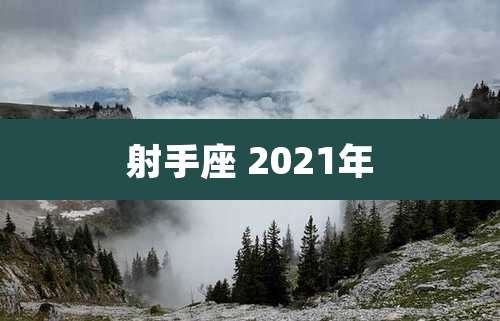 射手座 2021年