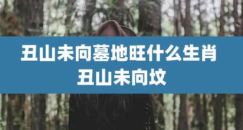 丑山未向墓地旺什么生肖 丑山未向坟