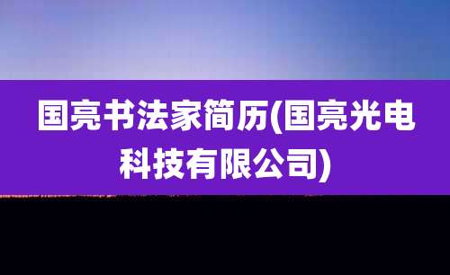 国亮书法家简历(国亮光电科技有限公司)