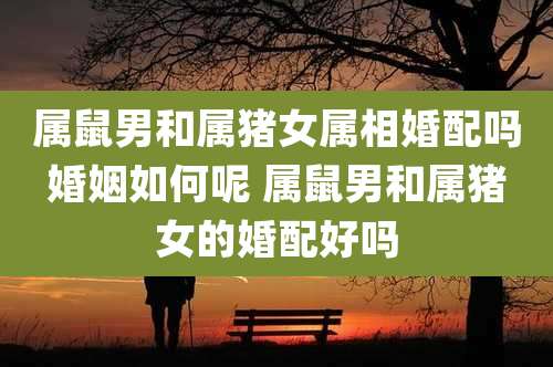 属鼠男和属猪女属相婚配吗婚姻如何呢 属鼠男和属猪女的婚配好吗