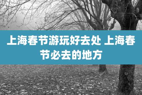 上海春节游玩好去处 上海春节必去的地方