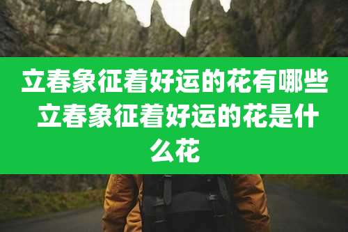 立春象征着好运的花有哪些 立春象征着好运的花是什么花