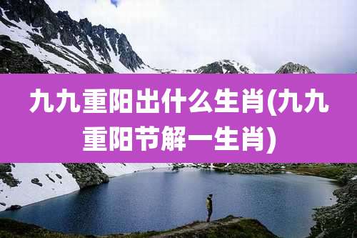 九九重阳出什么生肖(九九重阳节解一生肖)