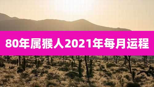 80年属猴人2021年每月运程