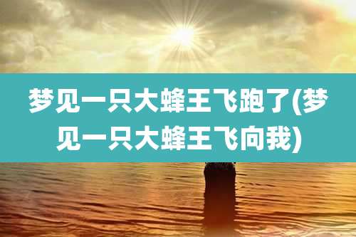 梦见一只大蜂王飞跑了(梦见一只大蜂王飞向我)