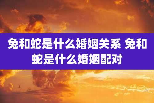 兔和蛇是什么婚姻关系 兔和蛇是什么婚姻配对