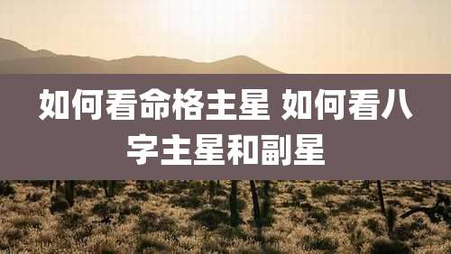 如何看命格主星 如何看八字主星和副星