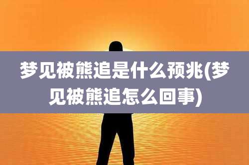 梦见被熊追是什么预兆(梦见被熊追怎么回事)