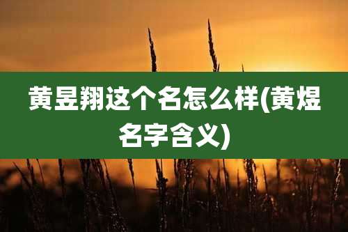 黄昱翔这个名怎么样(黄煜名字含义)