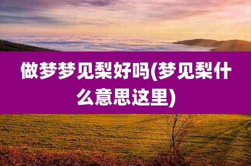 做梦梦见梨好吗(梦见梨什么意思这里)