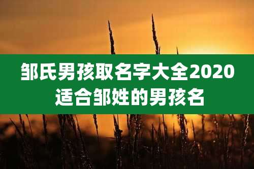 邹氏男孩取名字大全2020 适合邹姓的男孩名