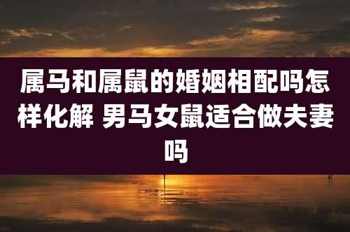 属马和属鼠的婚姻相配吗怎样化解 男马女鼠适合做夫妻吗