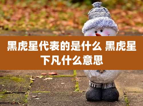 黑虎星代表的是什么 黑虎星下凡什么意思