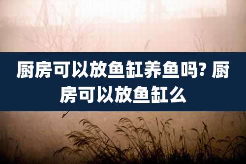 厨房可以放鱼缸养鱼吗? 厨房可以放鱼缸么
