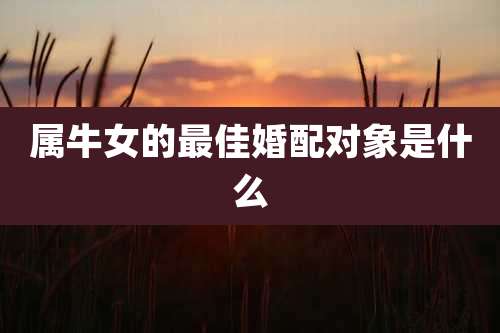 属牛女的最佳婚配对象是什么