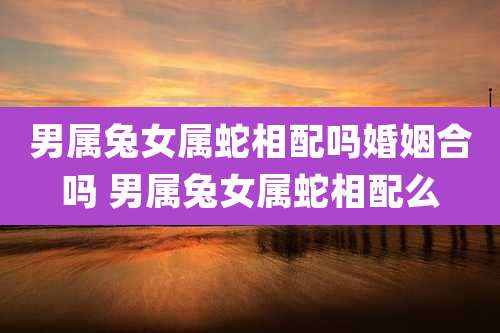 男属兔女属蛇相配吗婚姻合吗 男属兔女属蛇相配么