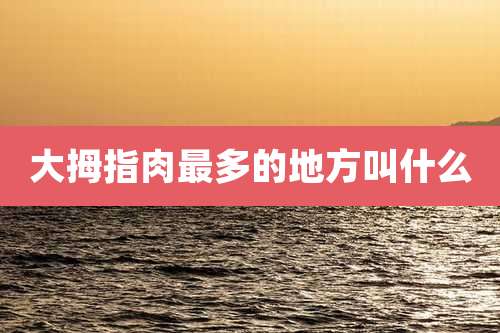 大拇指肉最多的地方叫什么