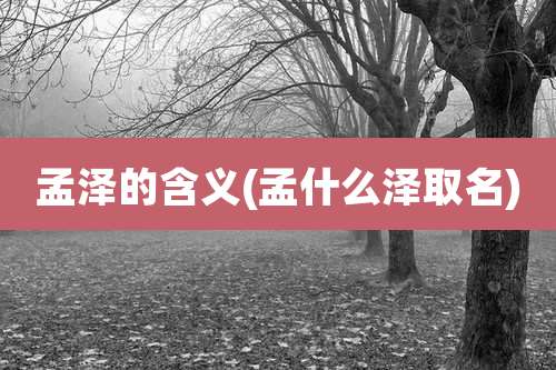 孟泽的含义(孟什么泽取名)