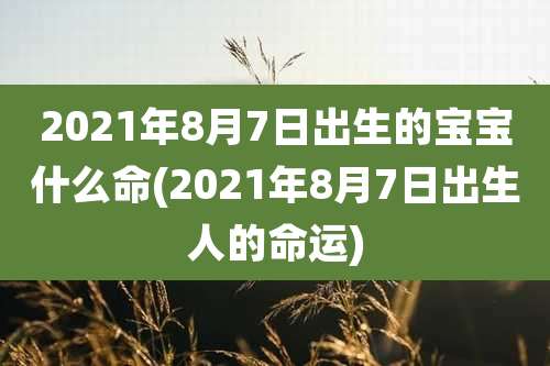2021年8月7日出生的宝宝什么命(2021年8月7日出生人的命运)