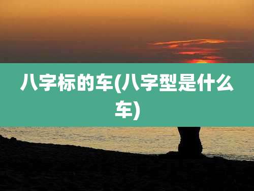 八字标的车(八字型是什么车)