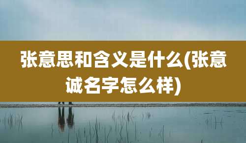 张意思和含义是什么(张意诚名字怎么样)