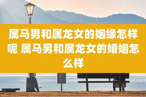 属马男和属龙女的姻缘怎样呢 属马男和属龙女的婚姻怎么样