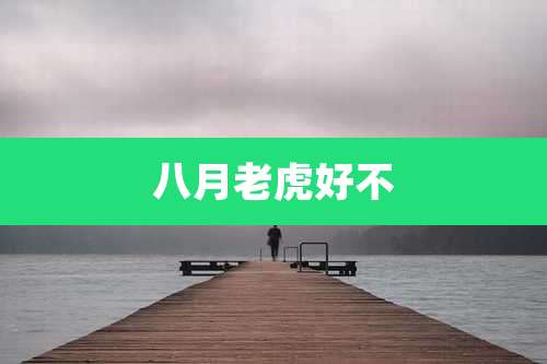 八月老虎好不