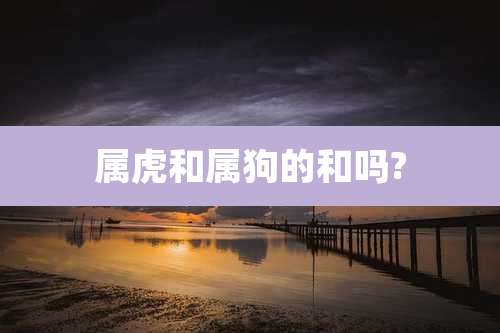 属虎和属狗的和吗?
