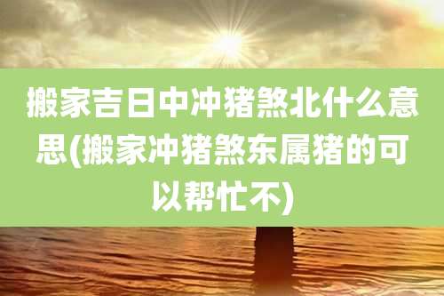 搬家吉日中冲猪煞北什么意思(搬家冲猪煞东属猪的可以帮忙不)