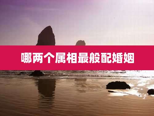 哪两个属相最般配婚姻
