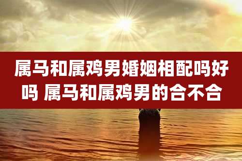属马和属鸡男婚姻相配吗好吗 属马和属鸡男的合不合