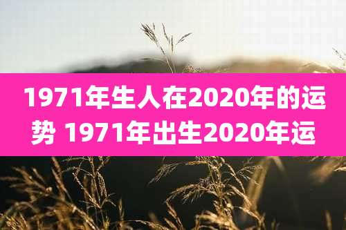 1971年生人在2020年的运势 1971年出生2020年运