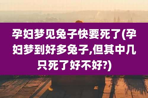 孕妇梦见兔子快要死了(孕妇梦到好多兔子,但其中几只死了好不好?)