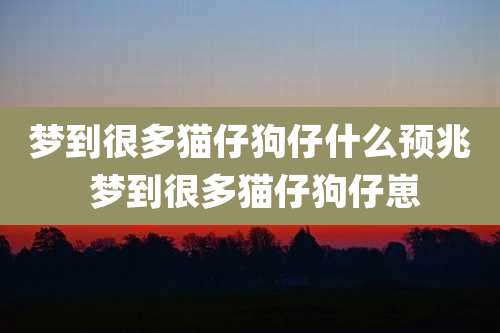 梦到很多猫仔狗仔什么预兆 梦到很多猫仔狗仔崽