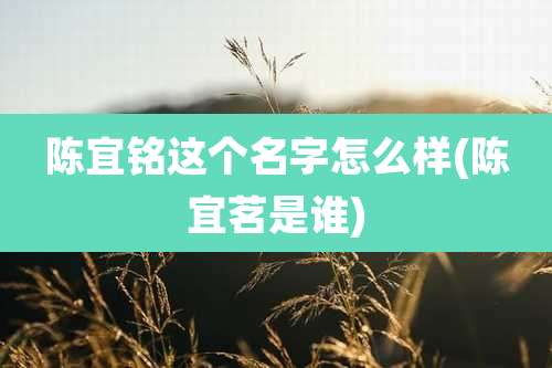 陈宜铭这个名字怎么样(陈宜茗是谁)