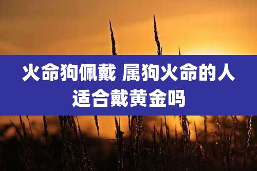 火命狗佩戴 属狗火命的人适合戴黄金吗