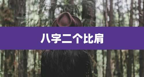 八字二个比肩