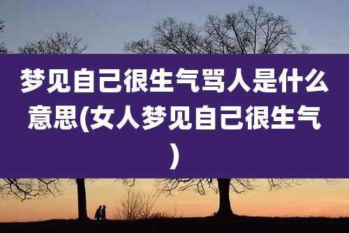 梦见自己很生气骂人是什么意思(女人梦见自己很生气)