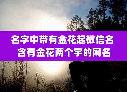 名字中带有金花起微信名 含有金花两个字的网名