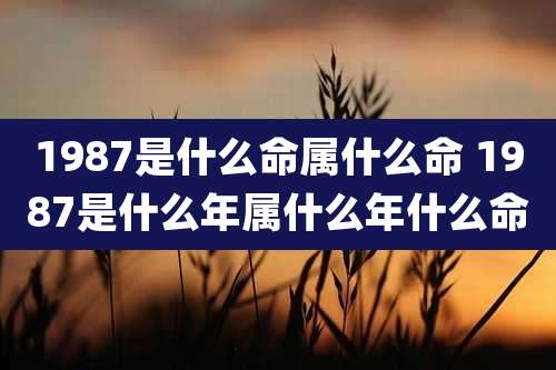 1987是什么命属什么命 1987是什么年属什么年什么命