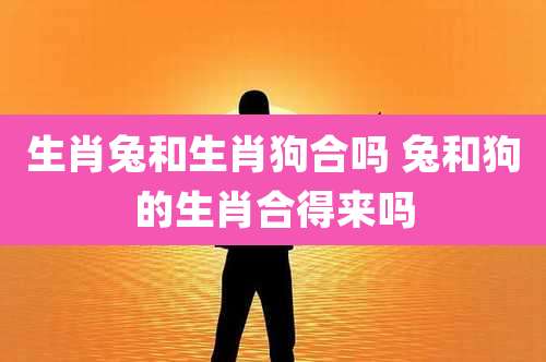 生肖兔和生肖狗合吗 兔和狗的生肖合得来吗