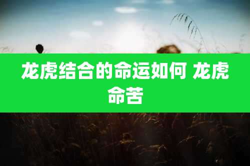 龙虎结合的命运如何 龙虎命苦