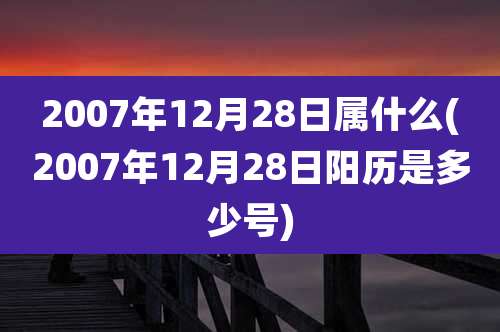 2007年12月28日属什么(2007年12月28日阳历是多少号)