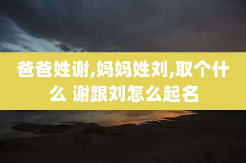 爸爸姓谢,妈妈姓刘,取个什么 谢跟刘怎么起名